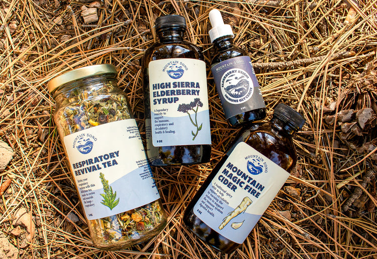 Syrups, Shrubs, Fire Cider & Oxymels