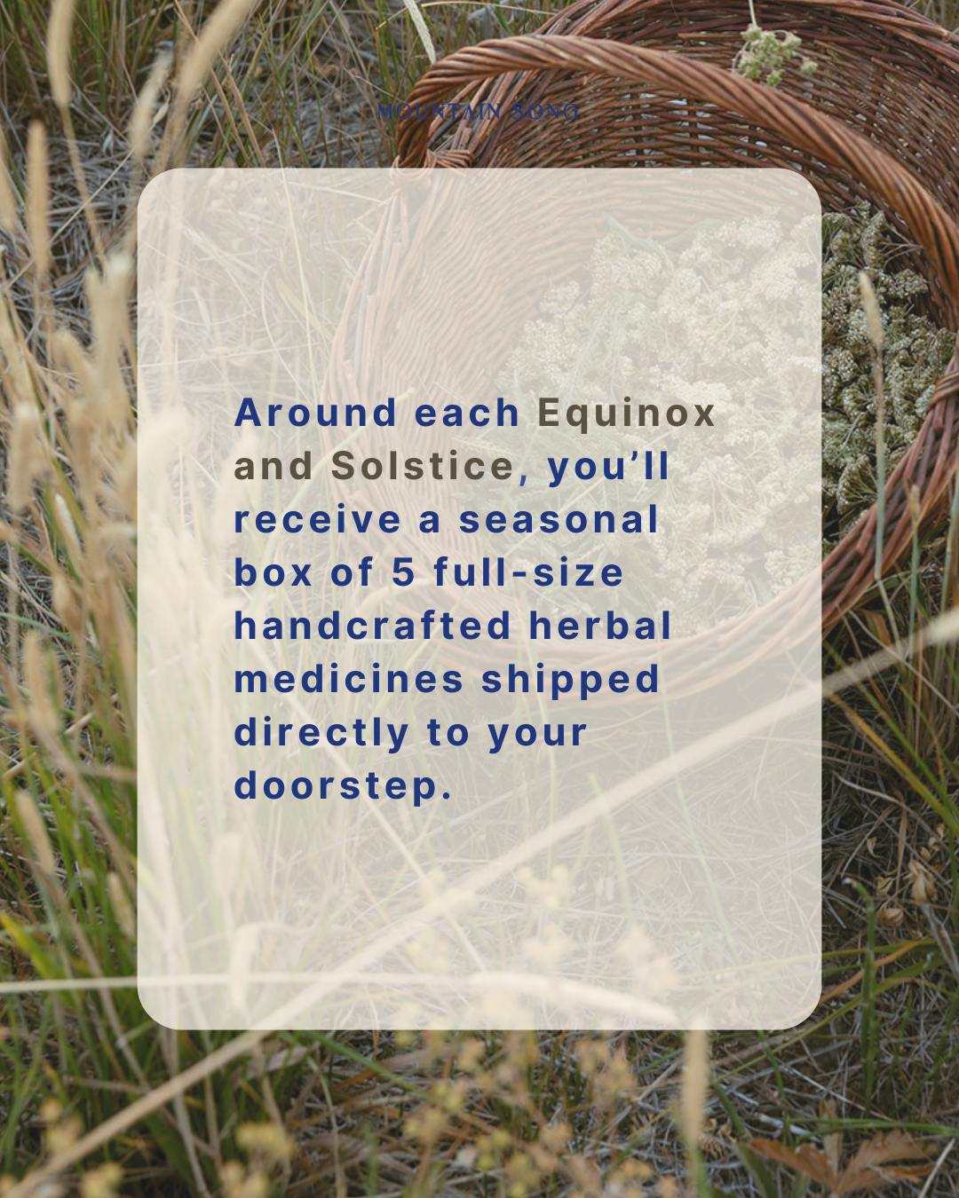 October Presale - 2026 Seasonal Herb Box Subscription