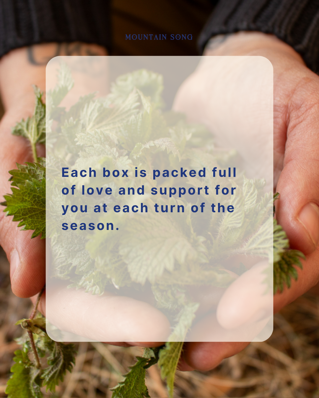 October Presale - 2026 Seasonal Herb Box Subscription