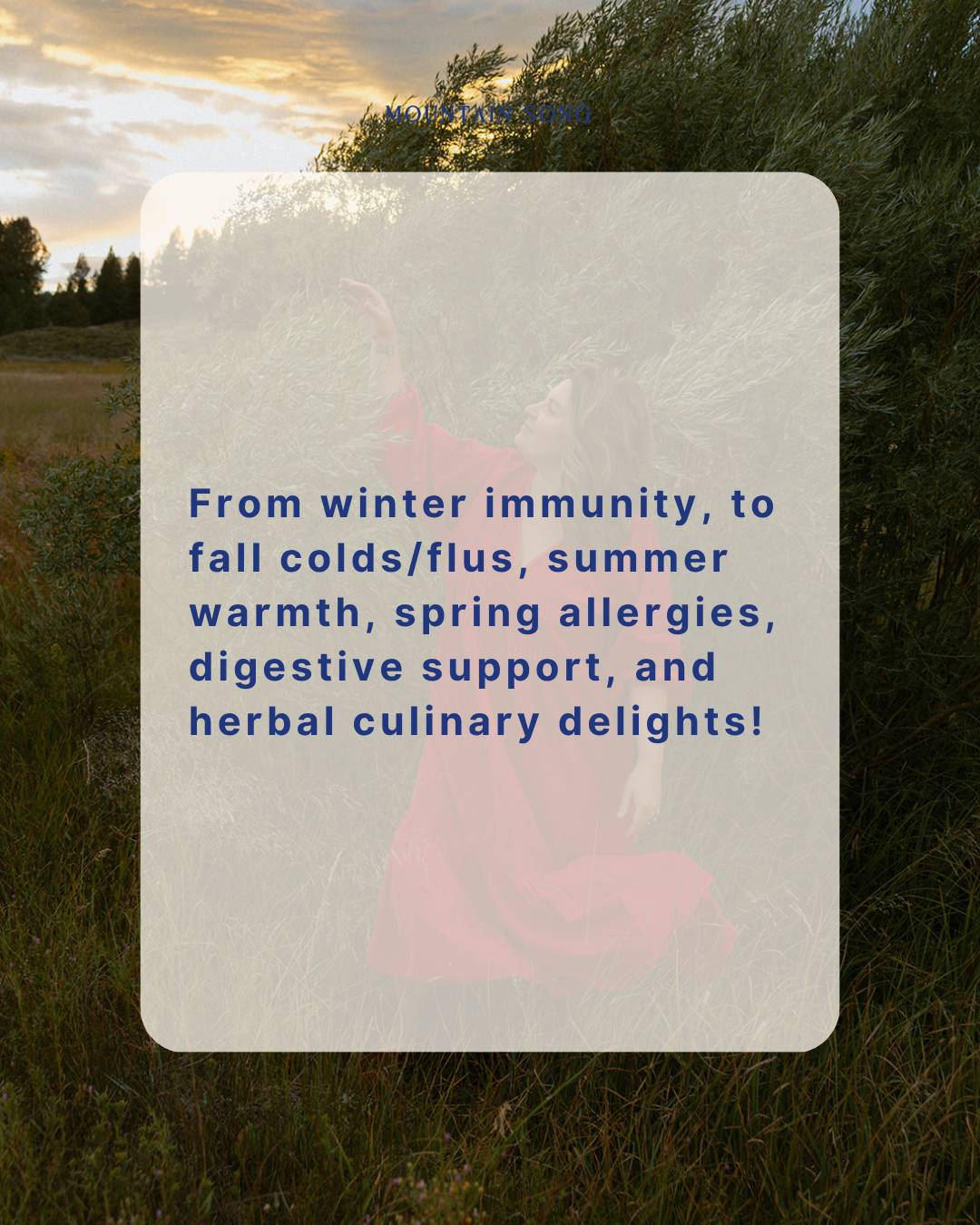 2026 Seasonal Herb Box Subscription