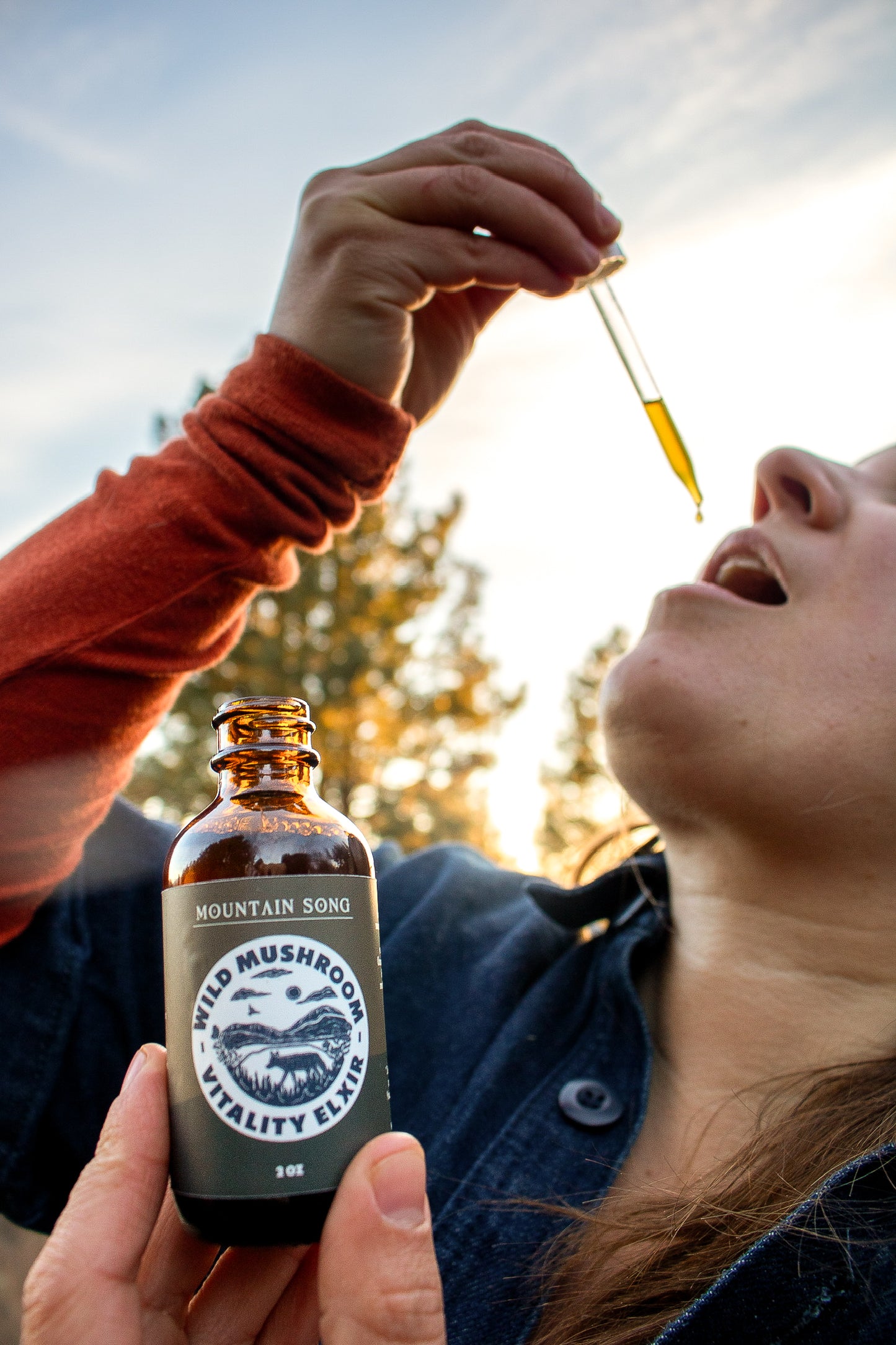 Wild Mushroom Vitality Elixir