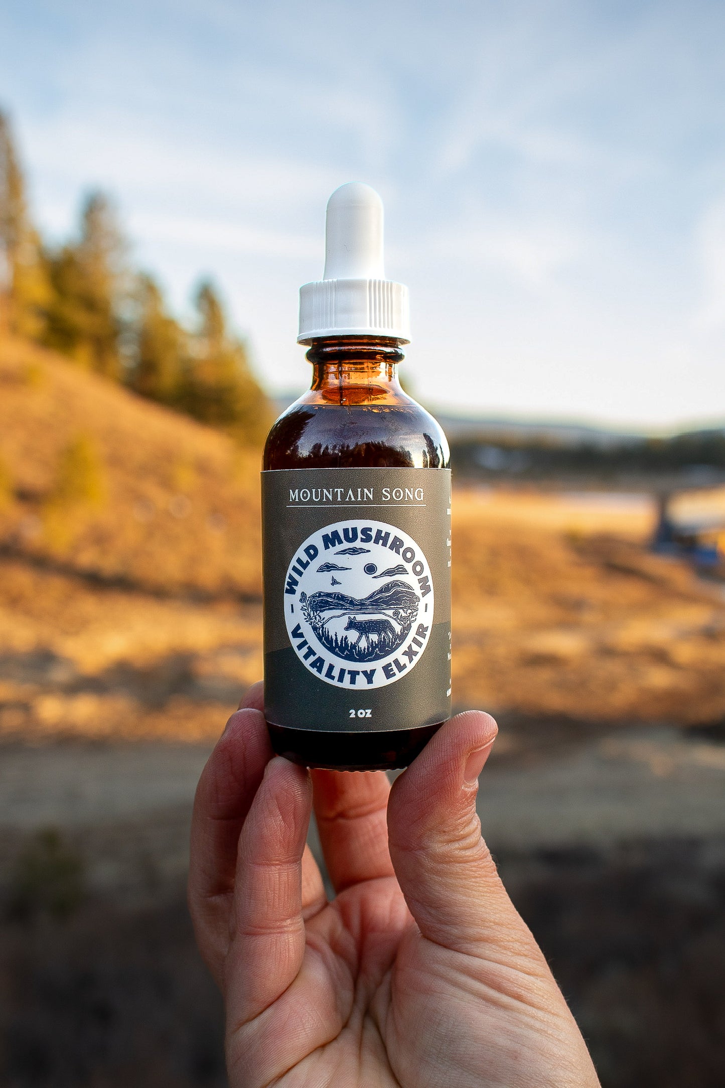 Wild Mushroom Vitality Elixir