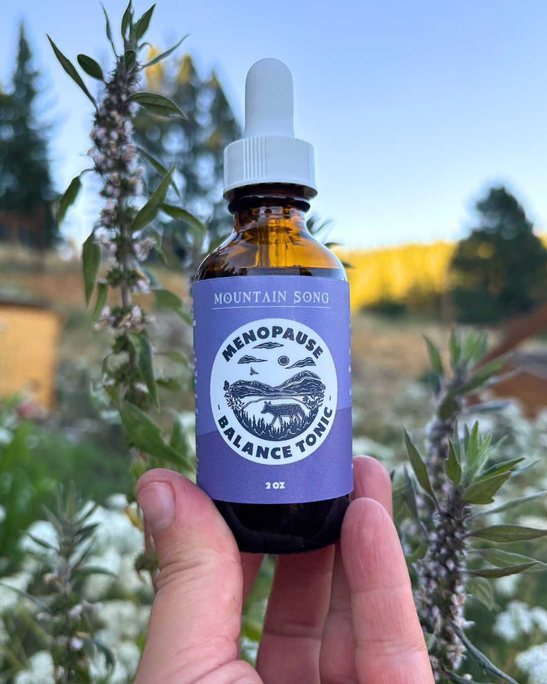 Menopause Balance Tonic