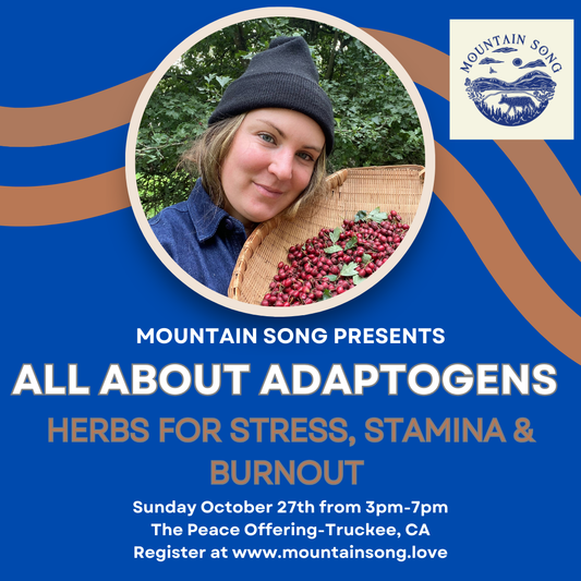 All about Adaptogens: Herbs for stress, stamina and burnout