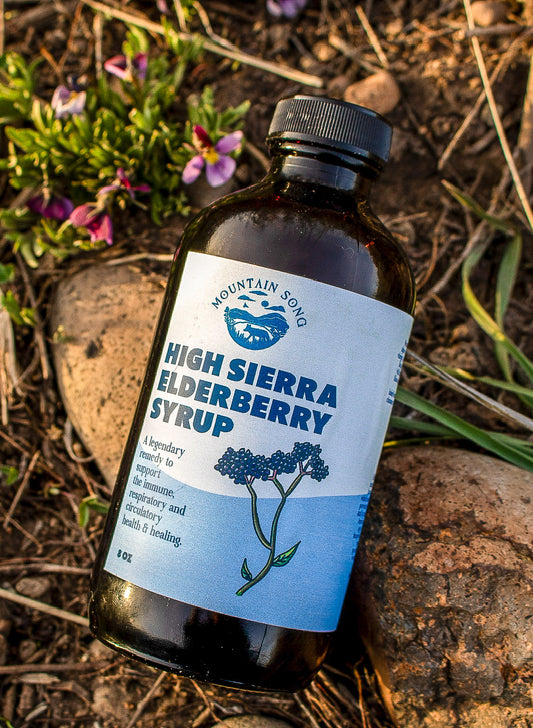 High Sierra Elderberry Syrup