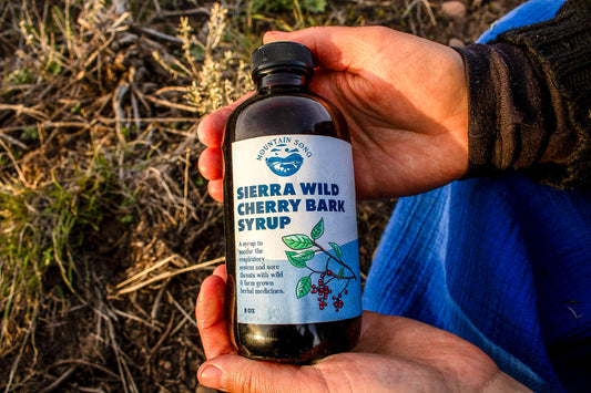 Sierra Wild Cherry Bark Syrup