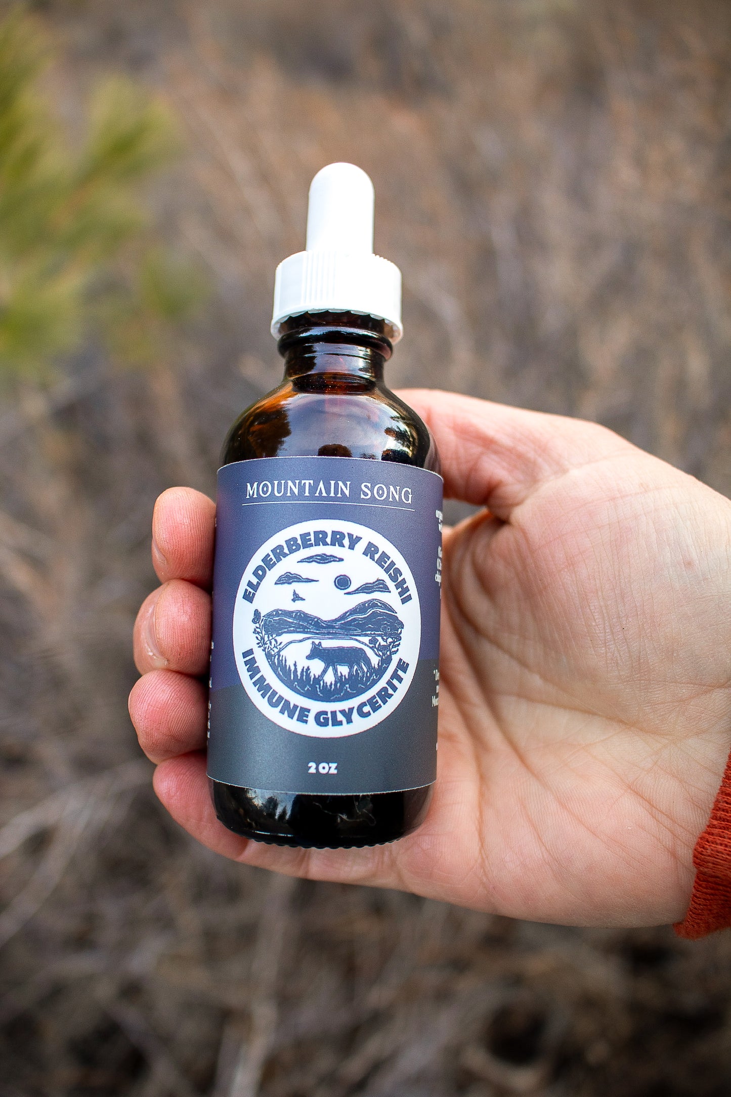 Elderberry Reishi Immune Glycerite