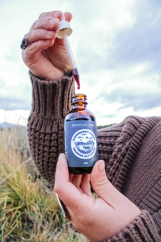 Elderberry Reishi Immune Glycerite