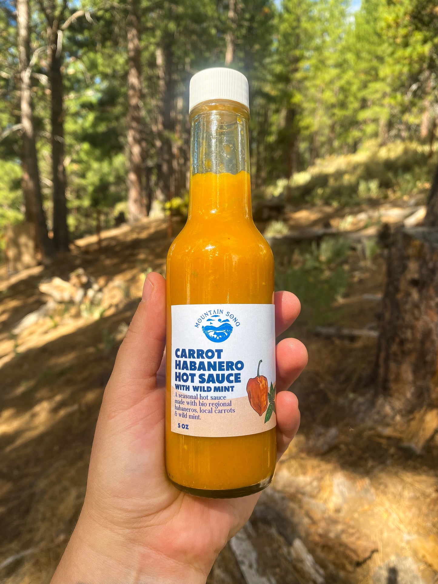 Carrot Habanero Hot Sauce with Wild Mint