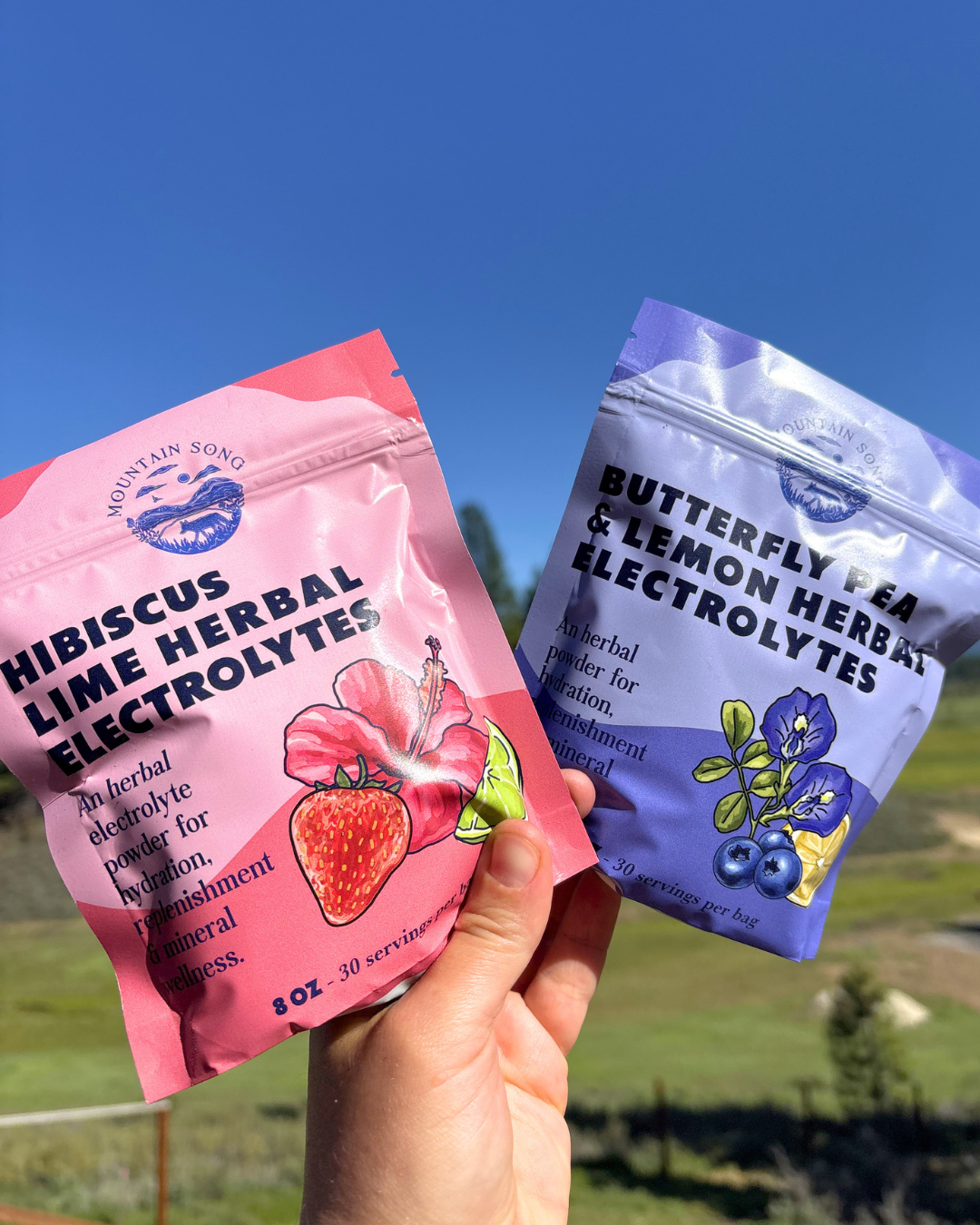 Hibiscus Lime Electrolytes