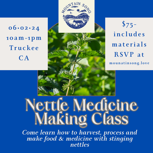 Nettle Medicine Class
