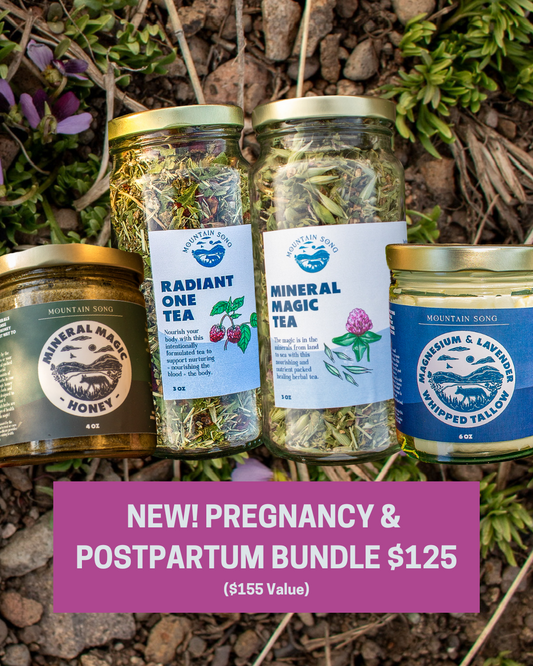 Pregnancy & Postpartum Bundle
