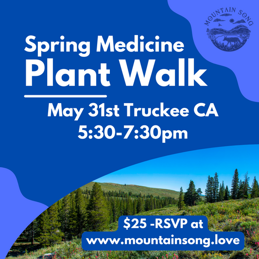 Spring Medicine Plant Walk