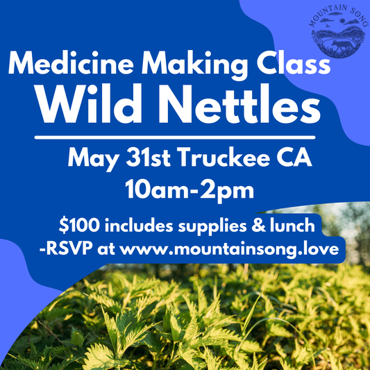 Medicine Making Day: Wild Nettles