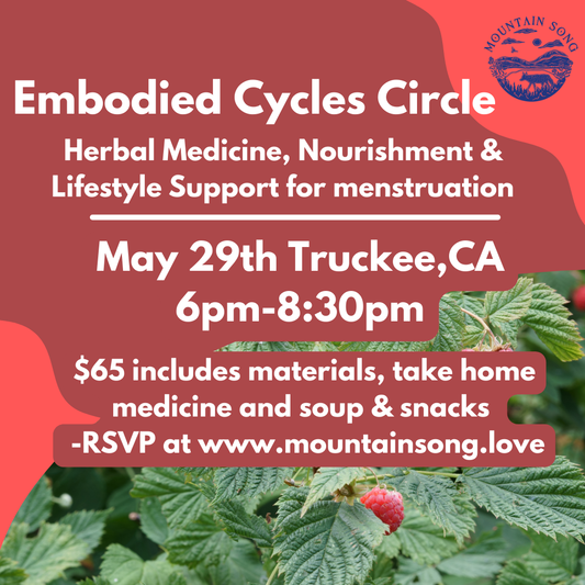 Embodied Cycles Circle