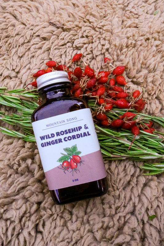 Wild Rosehip & Ginger Cordial