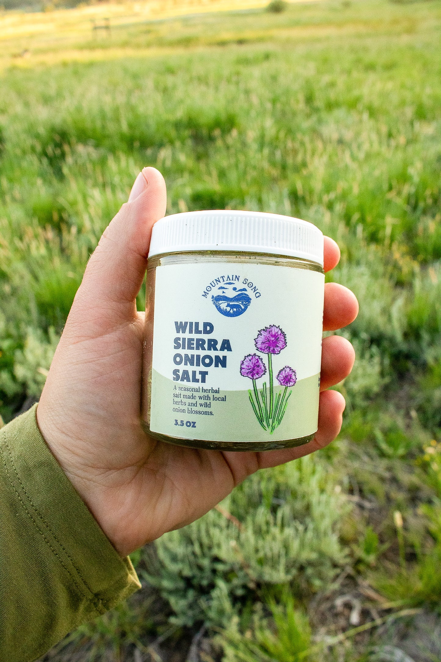 Wild Sierra Onion Salt
