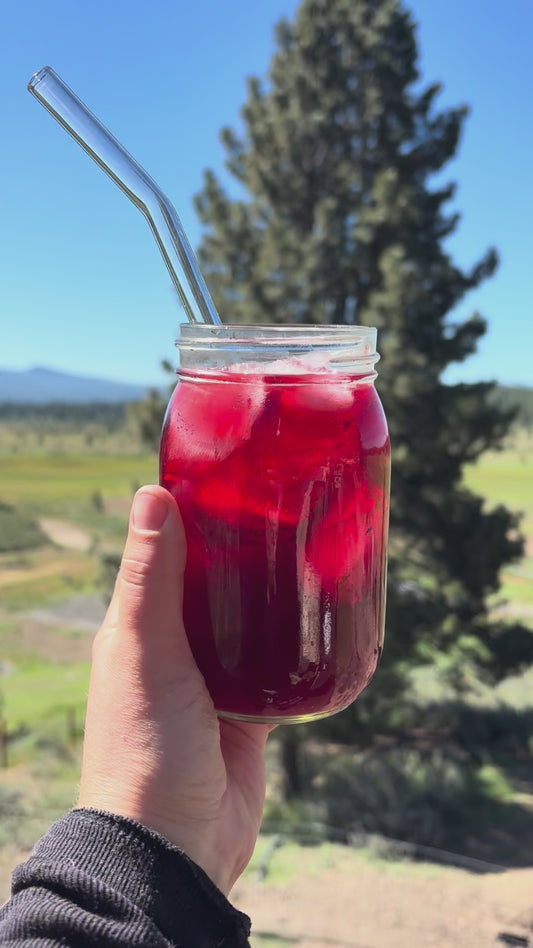 Hibiscus Tulsi Cooler